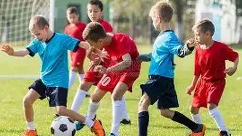 【独家攻略】双色球2026年第002期：一码定蓝，抢购超值票，大奖就在眼前！