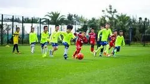 [月夜星语]揭秘大乐透26018期必中秘籍：11号杀码大揭秘！