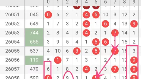 大乐透期号26051专家质合分析推荐前区十码